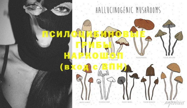 ALPHA PVP Армянск