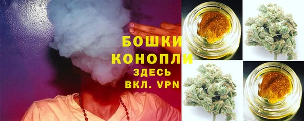 ГАЛЛЮЦИНОГЕННЫЕ ГРИБЫ Баксан