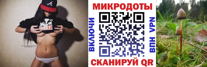 Псилоцибиновые грибы прущие грибы  Купить закладки  Болотное 