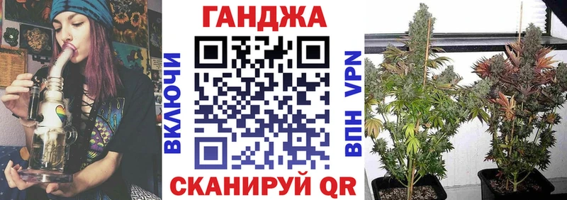 Купить где  Болотное  Марихуана индика 